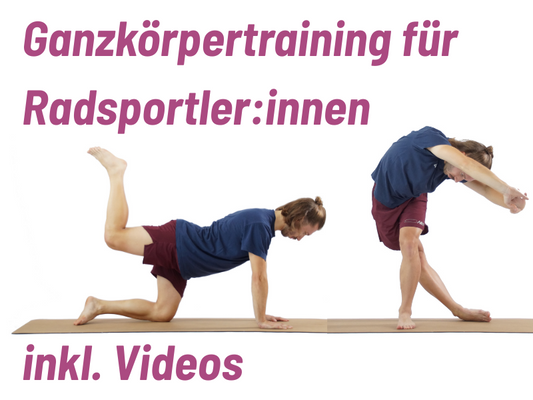 6 Wochen Ganzkörpertraining für Radsportler:innen
